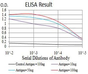 ATF4 Antibody (clone 2A6F12)