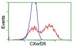 CXorf26 Antibody (clone OTI4E11)