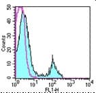 CD8A / CD8 Alpha Antibody (clone 53-6.7, FITC)