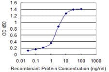 Monoclonal Mouse anti-Human MMP26 Antibody (clone 3B9, WB)