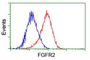 FGFR2 / FGF Receptor 2 Antibody (clone OTI3F8)