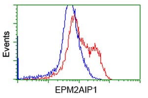 EPM2AIP1 Antibody (clone OTI1D11, Carrier-free)