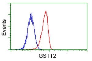 GSTT2 Antibody (clone OTI7A1)