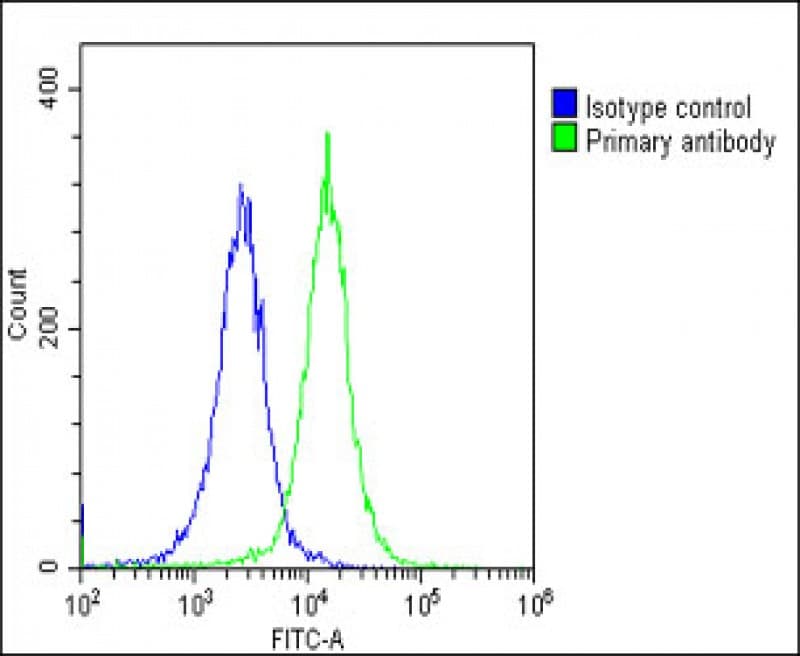 DLX1 Antibody (Internal)