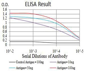AMY1A / Salivary Amylase Antibody (clone 1G4D8)