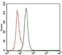 Monoclonal Mouse anti-Human PCNA Antibody (clone 7H4F8, Amino Acid: 53-196, IHC, WB)