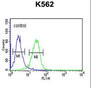 CLDN15 / Claudin 15 Antibody (aa128-157)