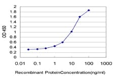 RND2 Antibody (clone 2D12)