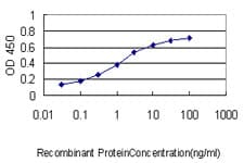 PCNA-Associated Factor Antibody (clone 3C11-1F11)