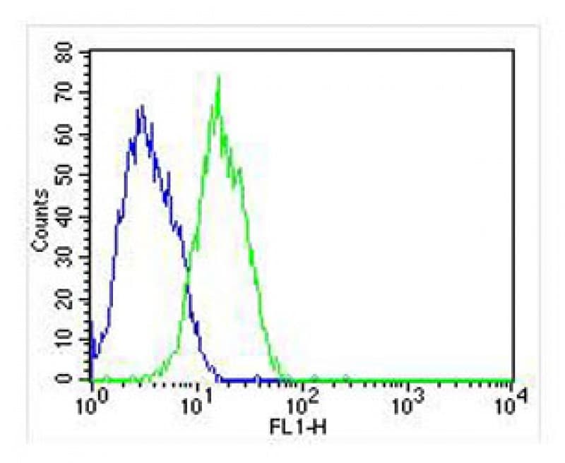 Monoclonal Mouse anti-Human RAB3B Antibody (clone 1543CT354.60.92, IHC, WB)