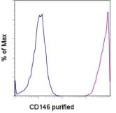IHC-plus™ MCAM / CD146 Antibody (clone P1H12)