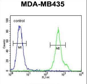 CD1E Antibody (aa184-212)