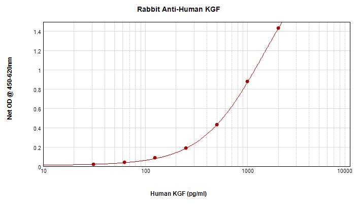 FGF7 / KGF Antibody