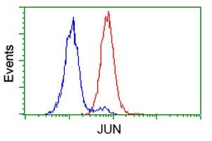 Monoclonal Mouse anti-Human JUN / c-Jun Antibody (clone OTI3G2, IF, WB)