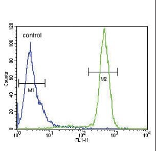 SCN1B Antibody (aa63-90)