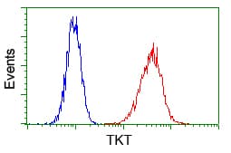 IHC-plus™ Monoclonal Mouse anti-Human TKT / Transketolase Antibody (clone 5H3, IHC, IF, WB)