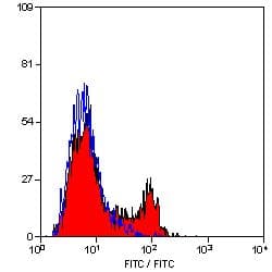 CR2 / CD21 Antibody (clone CA2.1D6)
