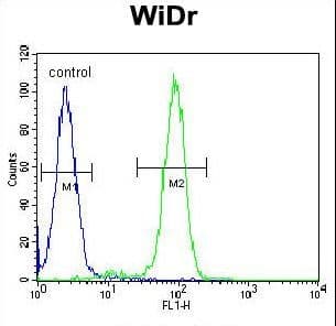 FBX09 / FBXO9 Antibody (aa346-373)