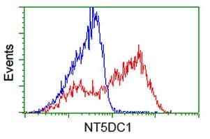 NT5DC1 Antibody (clone OTI3H2)