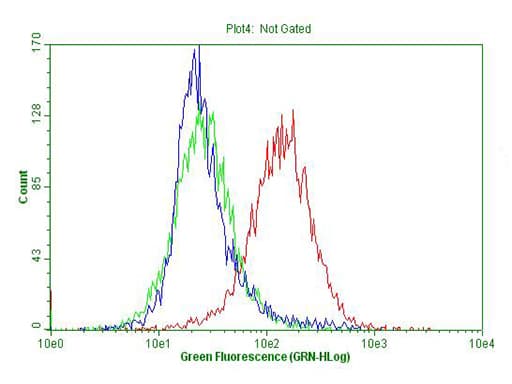 p16INK4a / CDKN2A Antibody (clone OTI11D3)