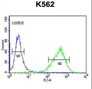 TSPAN20 / UPK1B Antibody (aa159-188)