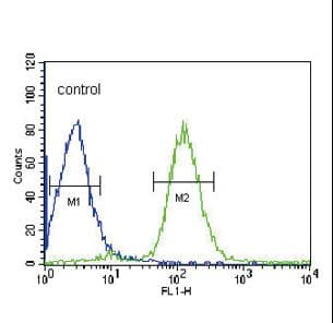 VHL / Von Hippel Lindau Antibody (aa43-71)