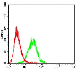 Monoclonal Mouse anti-Human CD6 Antibody (clone 5A10A2, IHC, WB)