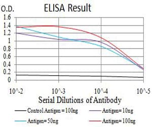 ATG2A Antibody (clone 4E6D4)