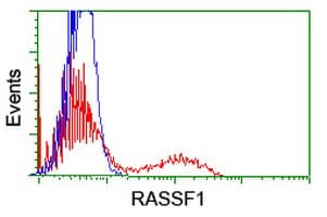 RASSF1 / RASSF1A Antibody (aa1-341, clone 8.00E+04, Carrier-free)