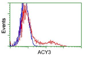 ACY3 Antibody (clone OTI4C1)
