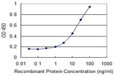 DAD1 Antibody (clone 2B4-C8)