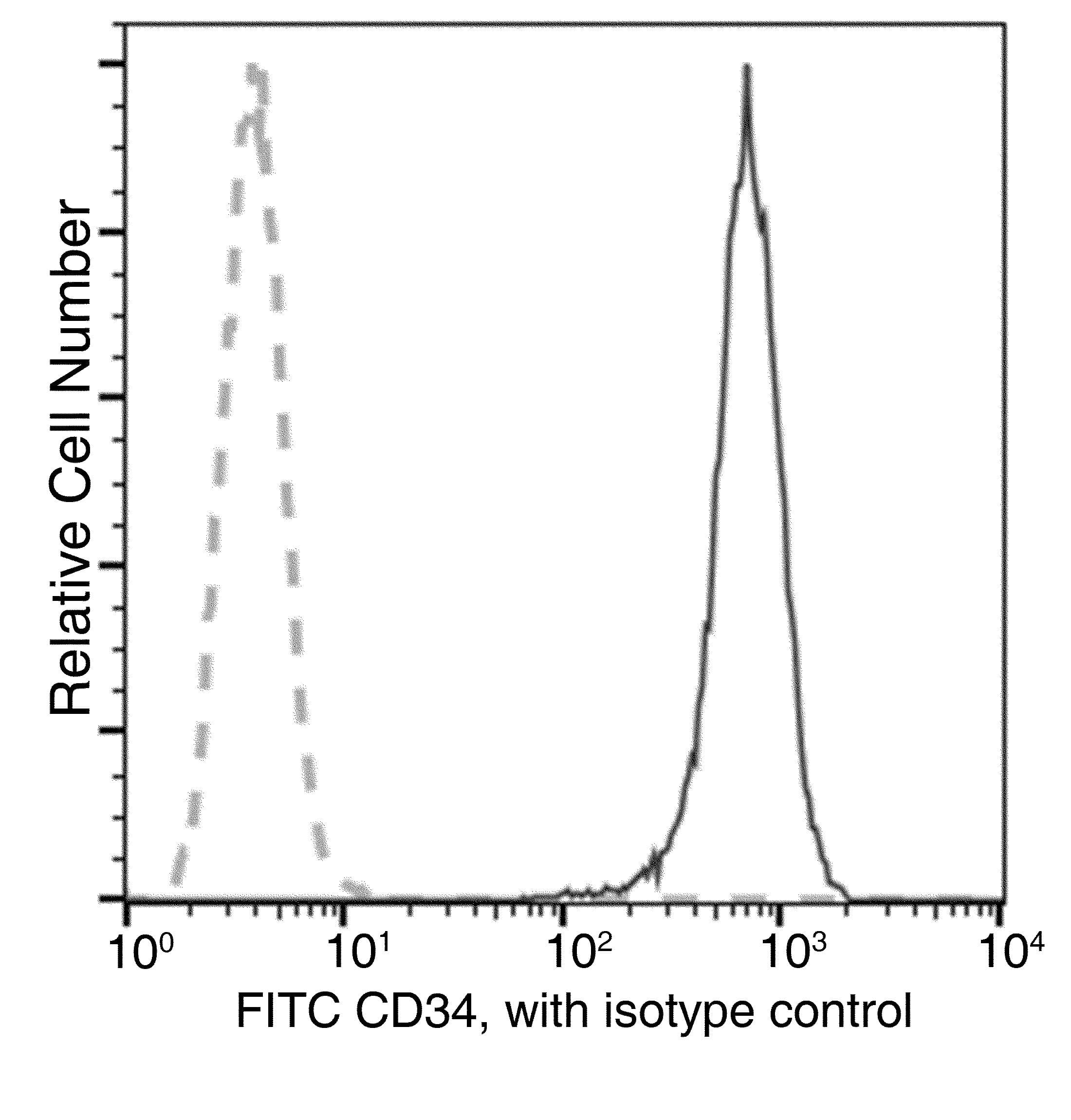 CD34 Antibody (clone XM01, FITC)