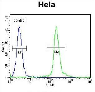 UNK Antibody (aa224-253)