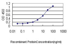 Monoclonal Mouse anti-Human ASB9 Antibody (clone 1D8, WB)
