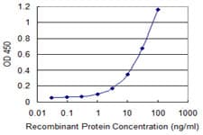 Monoclonal Mouse anti-Human PRMT3 Antibody (clone 3G4, WB)