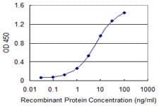 TNFRSF21 / DR6 Antibody (clone 1B1)