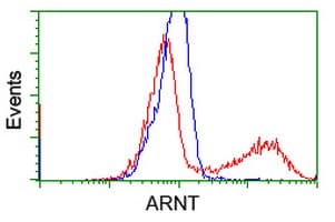 ARNT / HIF-1-Beta Antibody (clone OTI2C7)