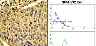 EPB41L4B Antibody (aa650-677)