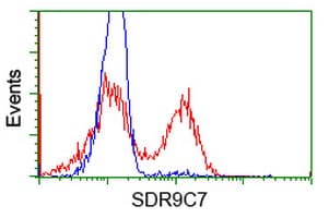 SDR9C7 Antibody (clone OTI6A8)