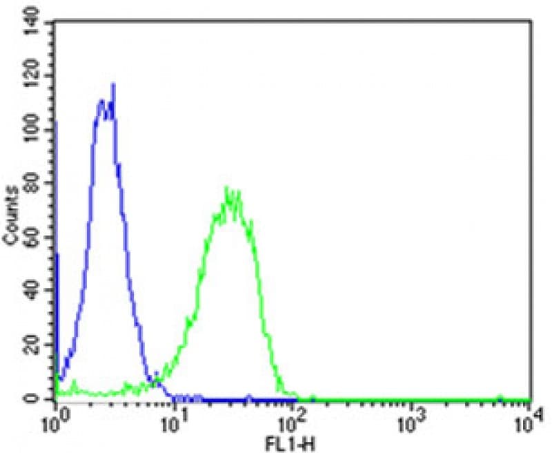 IHC-plus™ MTTP / MTP Antibody (aa878-911)