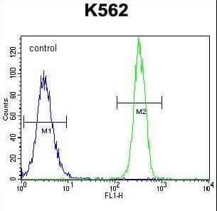 FBRSL1 Antibody (aa906-935)