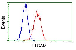 L1CAM Antibody (clone OTI2A6, Carrier-free)