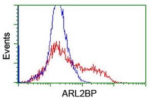 ARL2BP / BART Antibody (clone OTI1A10)