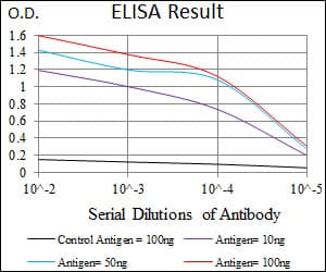 Monoclonal Mouse anti-Human Ls173753 Antibody (clone 7A3A9, aa282-527, IF, WB)