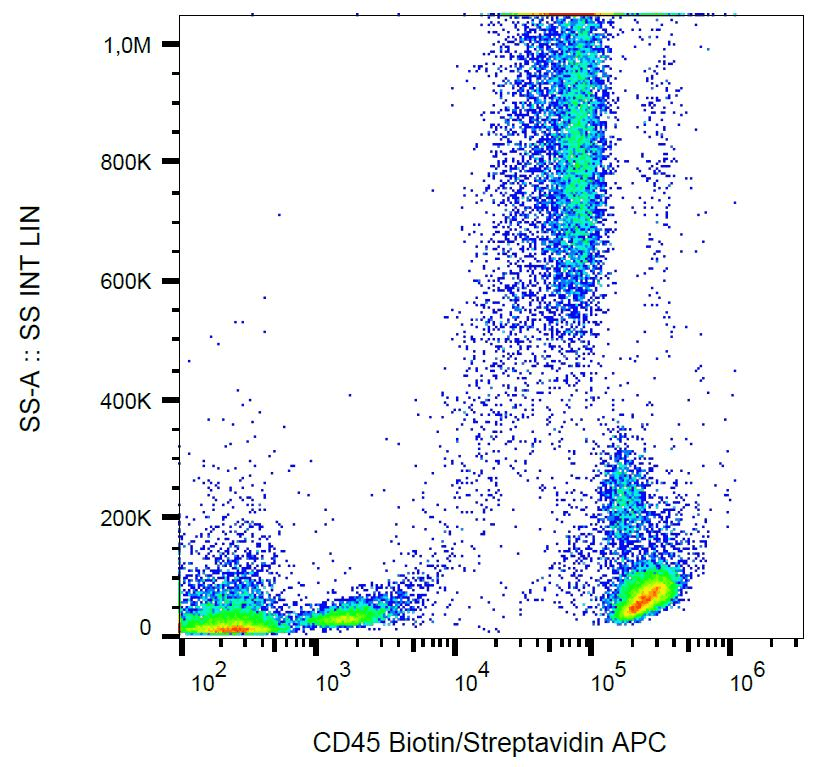CD45 / LCA Antibody (clone MEM-28, Biotin)