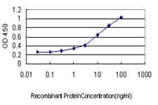 HES1 / HES-1 Antibody (clone 4D9)