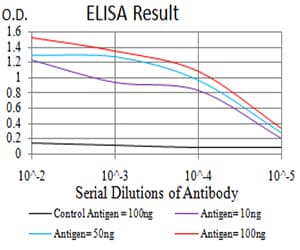 ESRRA / ERR Alpha Antibody (clone 6F1E6)