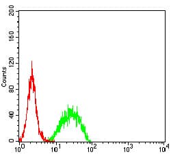 Monoclonal Mouse anti-Human SMARCA1 / SWI Antibody (clone 2H7B9, IHC, WB)