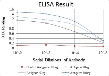 IHC-plus™ Monoclonal Mouse anti-Human SYN / FYN Antibody (clone 2A10, IHC, IF, WB)