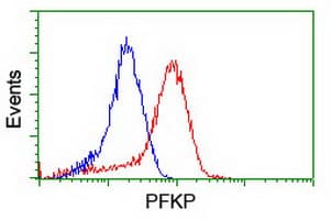 PFKP Antibody (clone OTI2F2, Carrier-free)
